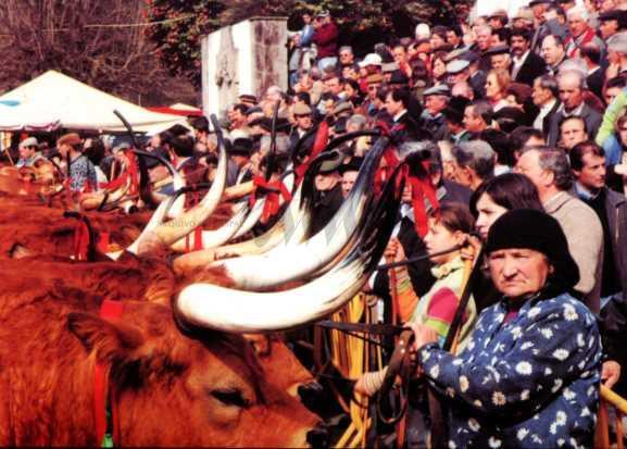 archeevo-amap-com-pt