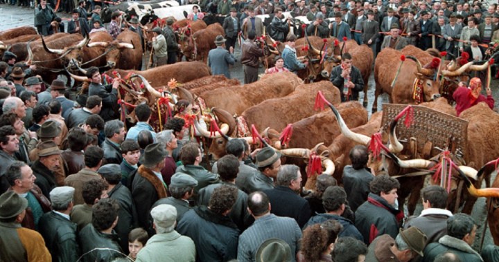 Feira da Terra  AC.jpg