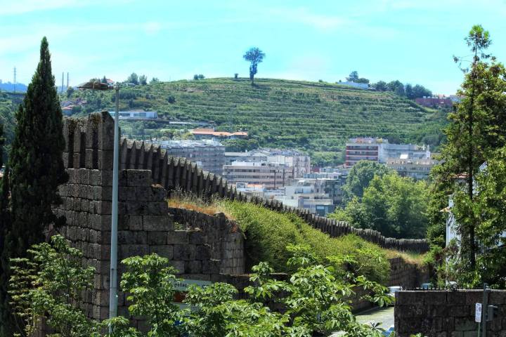 36857387_1794637427286438_6309065065265889280_n