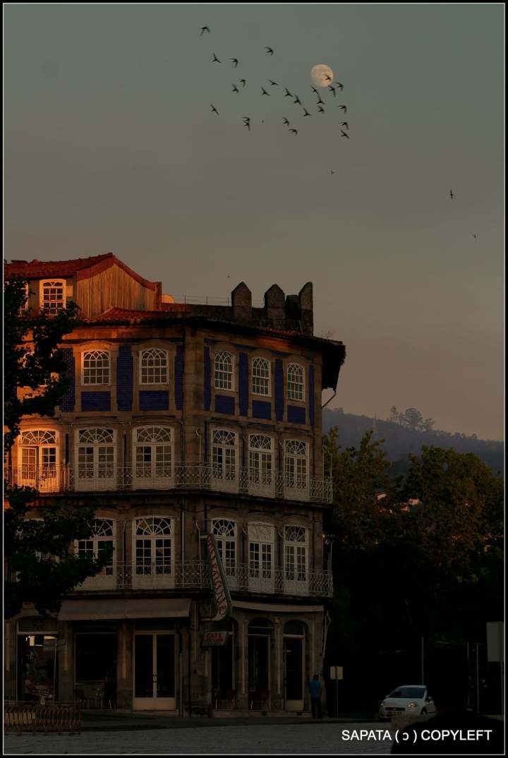 37679014_1818656894884491_8563431710321016832_n