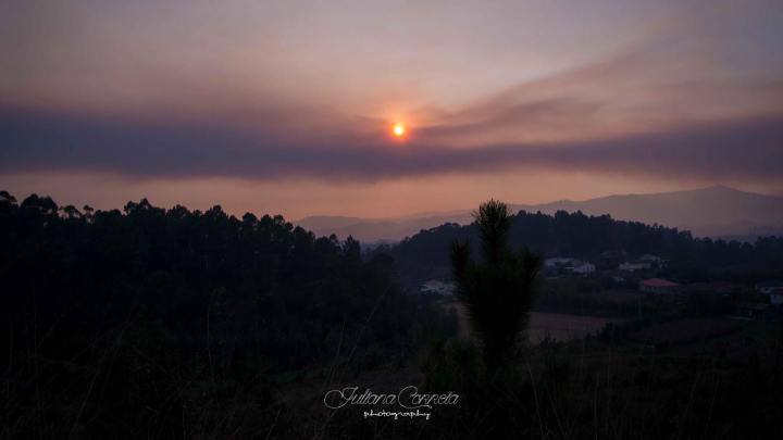 22256835_1796041690656564_9210061587471503632_o