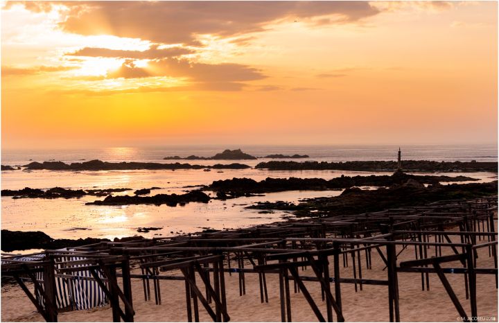 vila do conde (facebook)