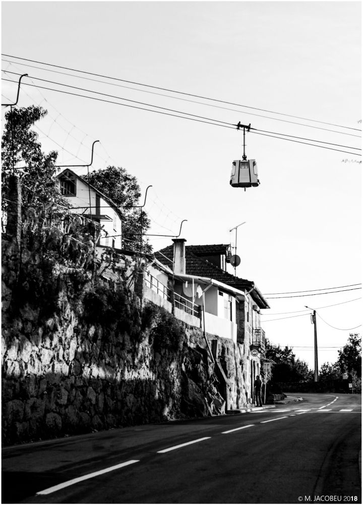 PROTESES PAISAGISTICAS