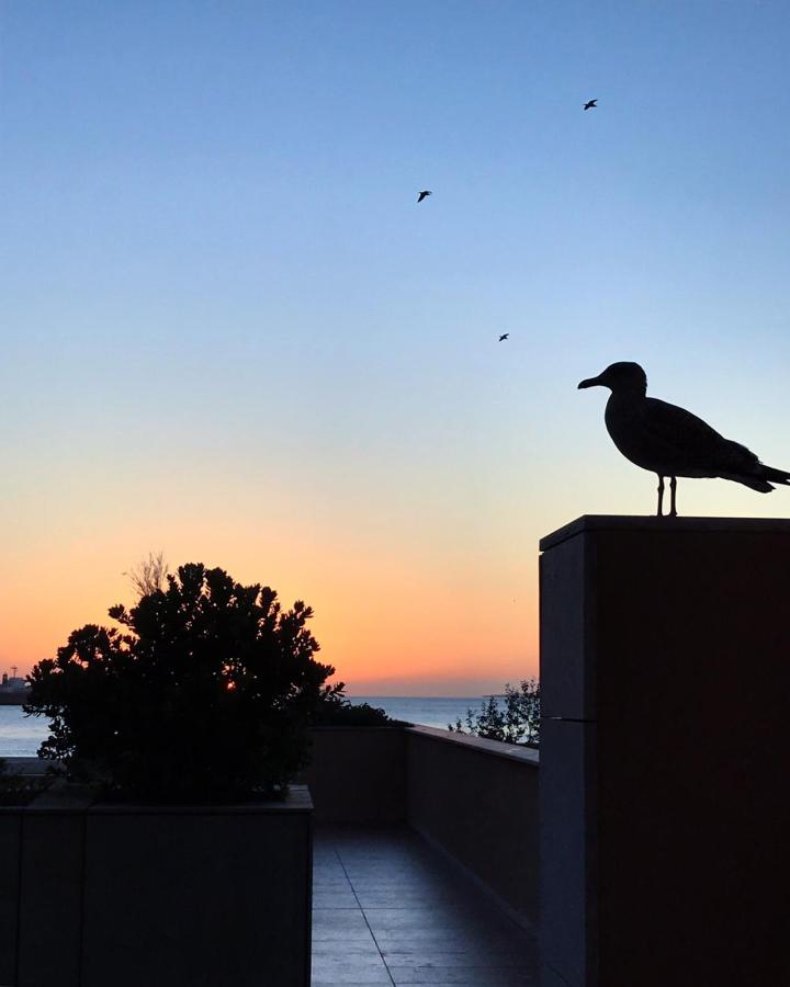 WhatsApp Image 2018-11-20 at 10.31.22