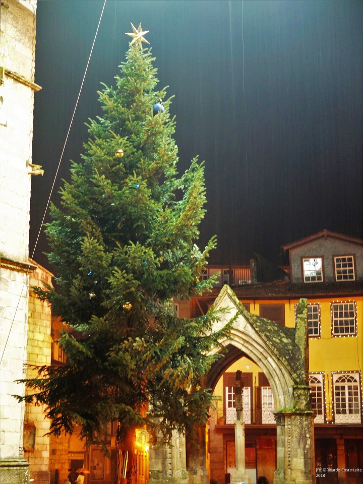 [°o] R©L 2018 DSCF6972