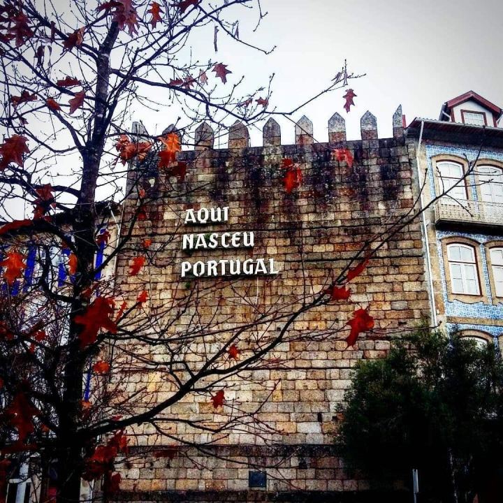 51703098_380576475822562_8026507583676219392_n