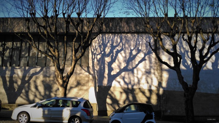 [°o] R©L 2016 1227_095828