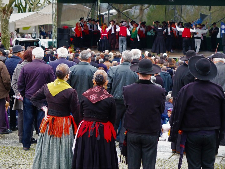 [°o] R©L 2016 DSCF2268