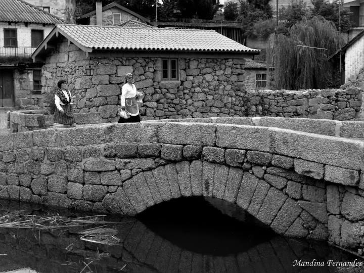 56464371_865273897158621_2061844336579969024_n