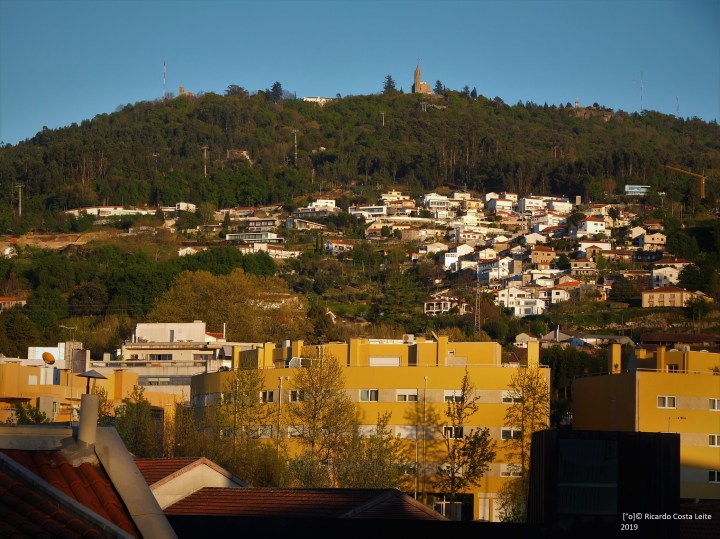 [°o] R©L 2019 DSCF8123