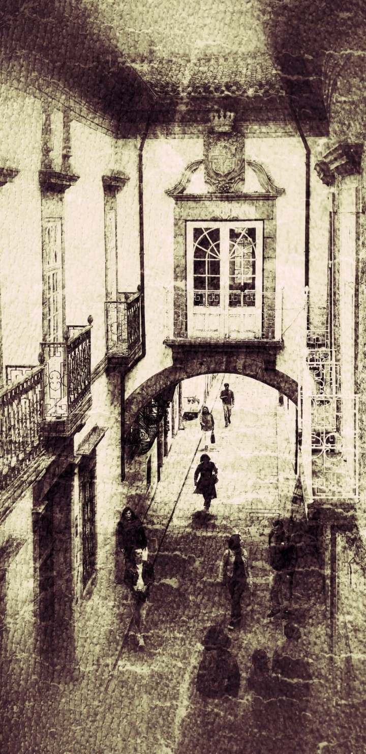 60977332_342322969774606_4655885836108169216_n