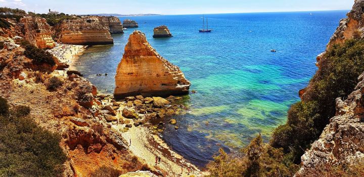 66257556_699044110531715_7731350112470827008_n