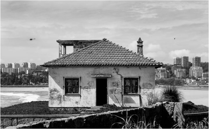 68630473_2443019719092872_8486004960486490112_n